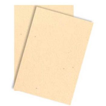 117 foam carta 2h carne 2mm confetti-FO0208