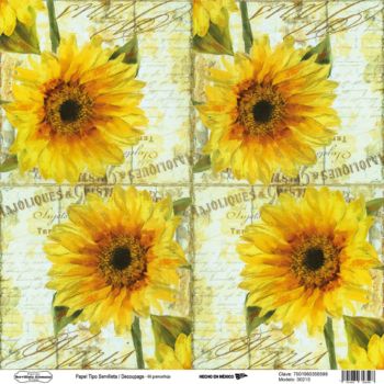 00210 papel tipo servilleta/decoupage 68grs-HP0210