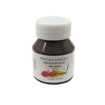 Pintura gama color 21 cafe 30 ml.-PI0999