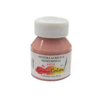 Pintura gama color 42 palo de rosa 30 ml.-PI1020