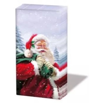 32204230 ho ho ho kleenex hdkf -SE0355