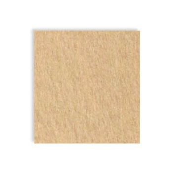 Fieltro laminado carne f173-TF0003