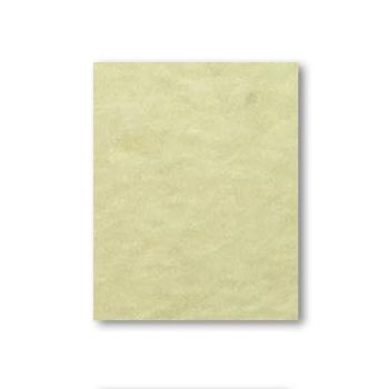 Fieltro max marfil a41-TF0041