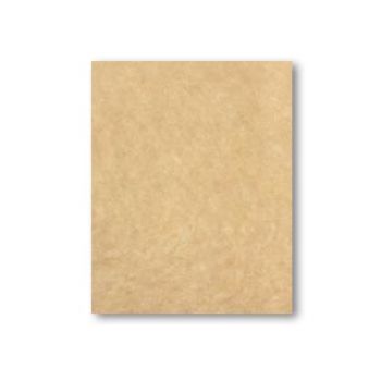 Fieltro max carne a47-TF0042