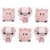Boton decorativo 10415 pig pen-BD0408
